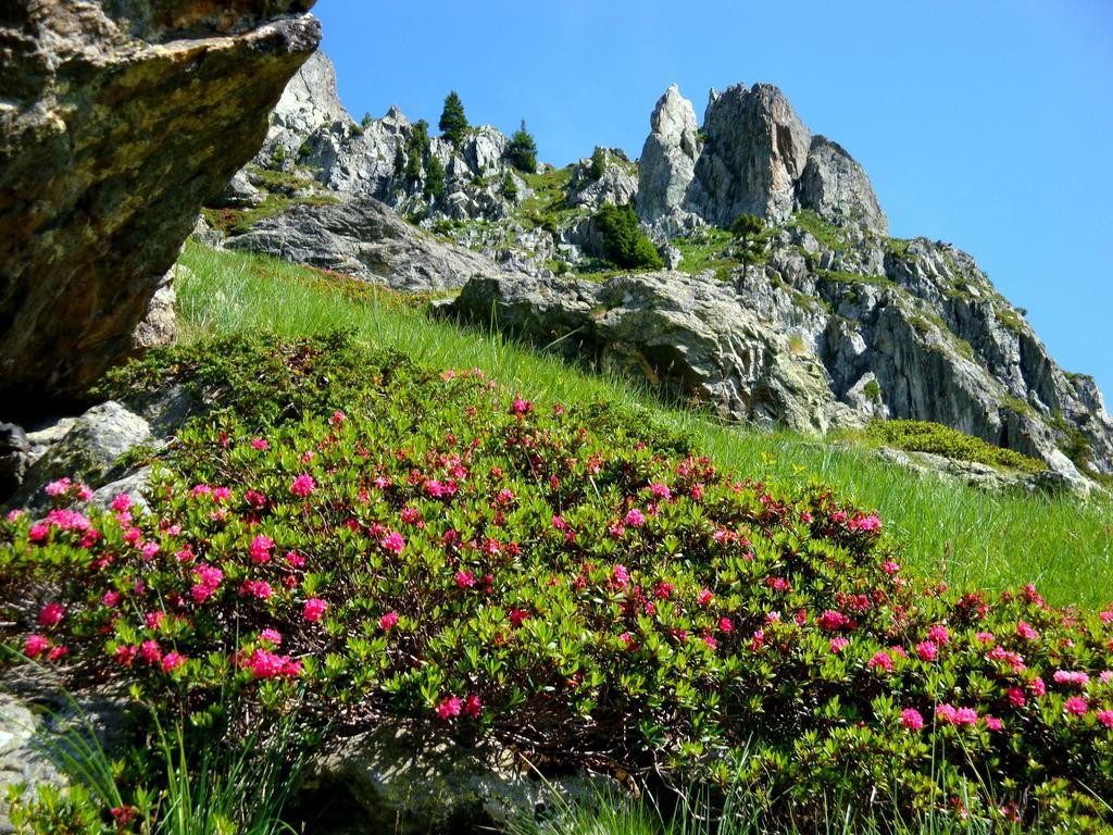 Auberge La Douce Montagne Алмон Екстериор снимка